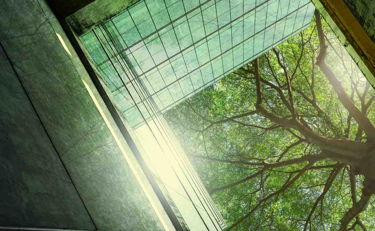 Compromiso de Bi Bank con la sostenibilidad en Panamá: trabajando juntos hacia un futuro más verde